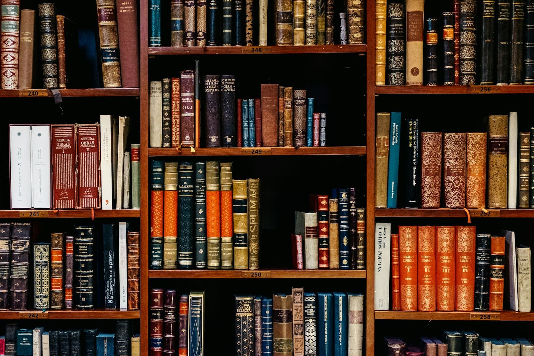 Stacks in warm light — a reading room after hours